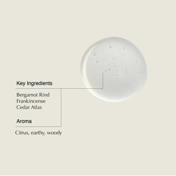 Aesop Shampoo | Soften Hair, Restore Shine | Bergamot Rind, Frankincense, Cedar Atlas | 16.9 oz / 500mL - Image 4
