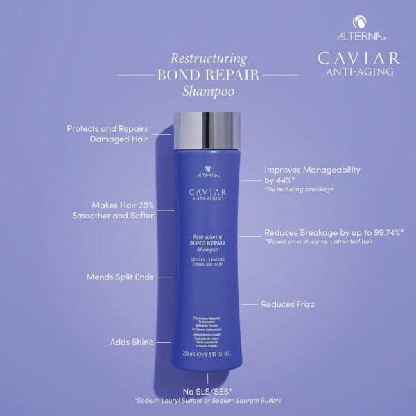 Alterna Shampoo and Conditioner Set - Image 3