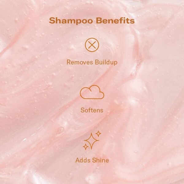 DAE Signature Duo Set (Shampoo & Conditioner) - Image 3