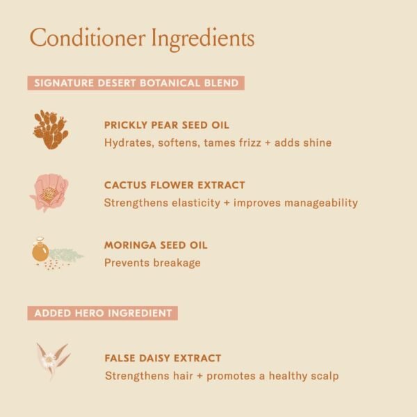 DAE Signature Duo Set (Shampoo & Conditioner) - Image 8