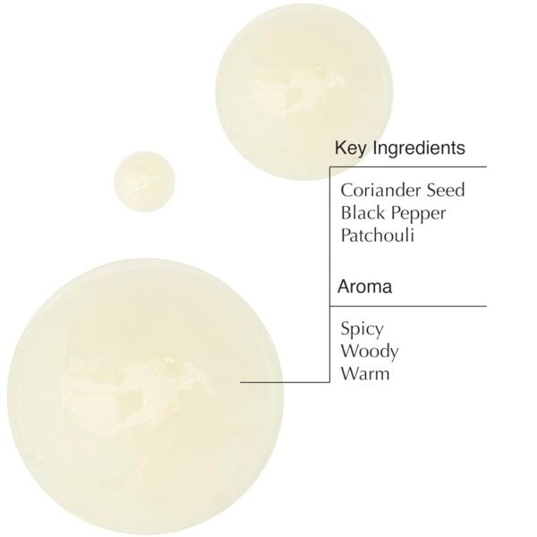 Aesop Coriander Seed Body Cleanser | Refreshing & Invigorating | Spicy, Woody, Warm | 16.9 oz / 500mL - Image 4