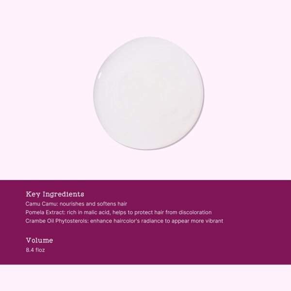 Christophe Robin Color Shield Shampoo With Camu Camu Berries for Color-Treated Hair - Nourishing, Anti-fade 8.4 fl. oz - Image 4