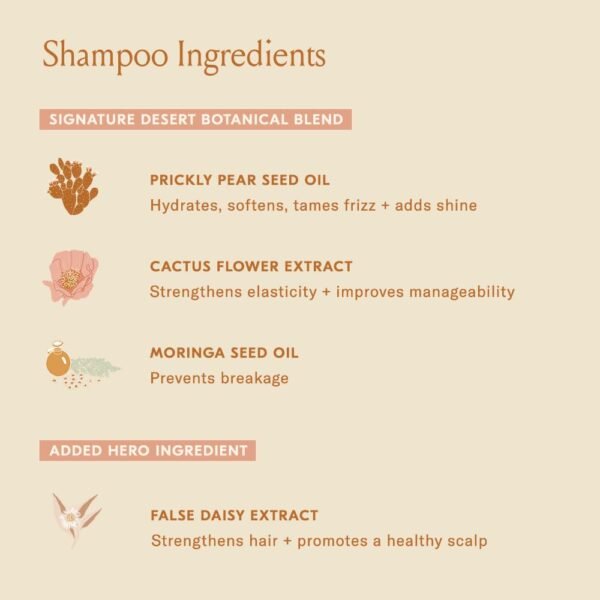 DAE Signature Duo Set (Shampoo & Conditioner) - Image 5