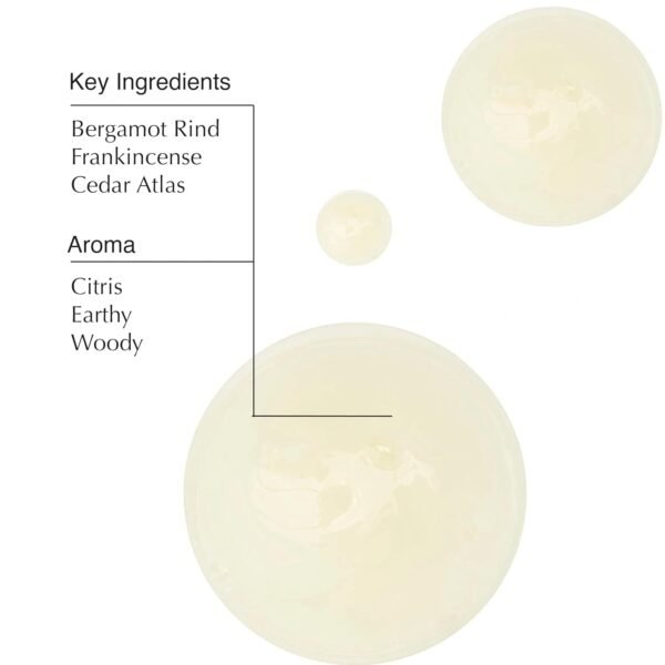 Aesop Hand and Hair Care Kit | Resurrection Hand Wash + Shampoo and Conditoner Set | Paraben-Free, Cruelty-Free & Vegan | Set of 3 (16.9 oz each) - Image 6