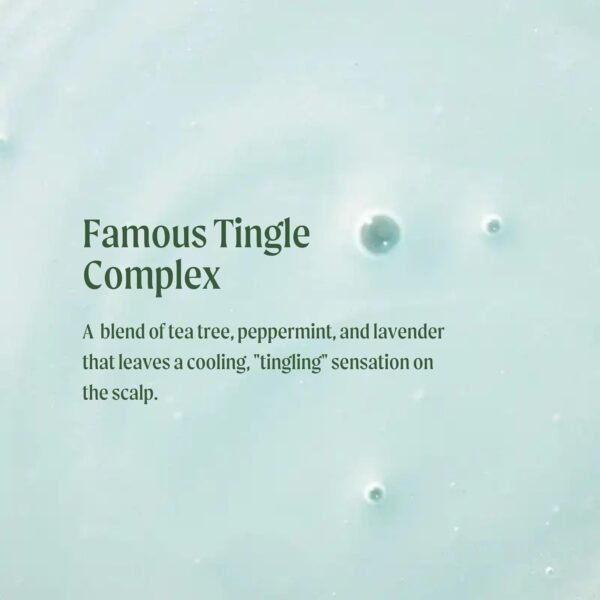 Tea Tree Special Shampoo, Deep Cleans, Refreshes Scalp, For All Hair Types, Especially Oily Hair - Image 4