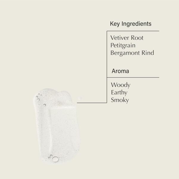 Aesop Reverence Aromatique Hand Wash | Gentle Exfoliating Hand Wash with Finely Milled Pumice | 500mL / 16.9 oz - Image 4
