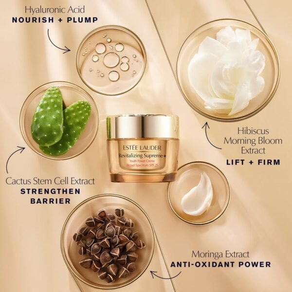 Estée Lauder Revitalizing Supreme+ Youth Power Cream Moisturizer SPF 25 with Hyaluronic Acid & Peptides - Image 4
