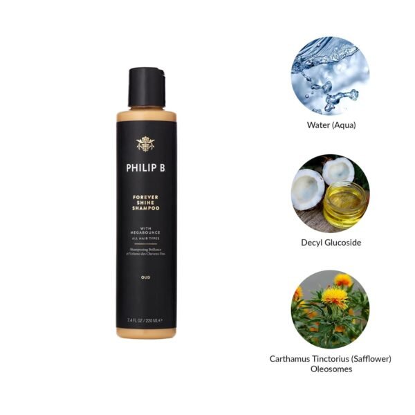 PHILIP B. Forever Shine Collection Kit - Limited Edition Set With Shampoo, Conditioner, Notes of Pure Oud & Detangling Comb - Image 8