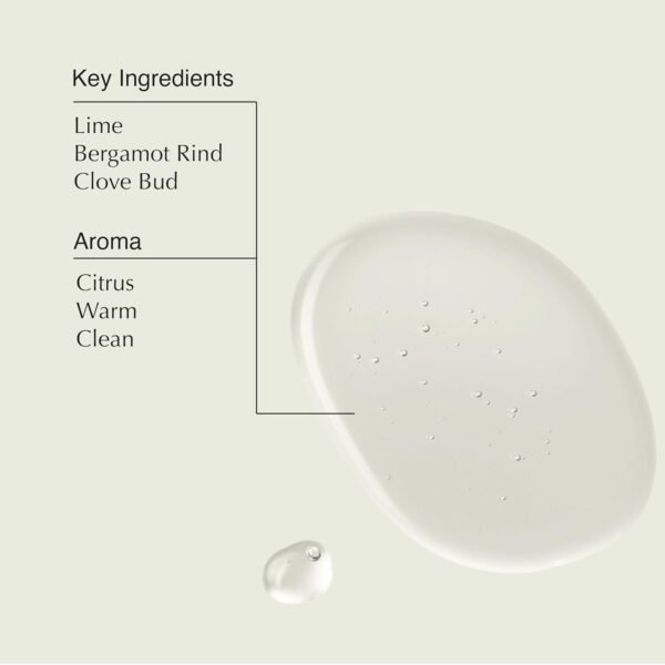 Aesop Sculpt Hair Polish | Gel to Shape, Add Structure, Volume | Citrus, Warm, Clean | 3.5oz /100mL - Image 4