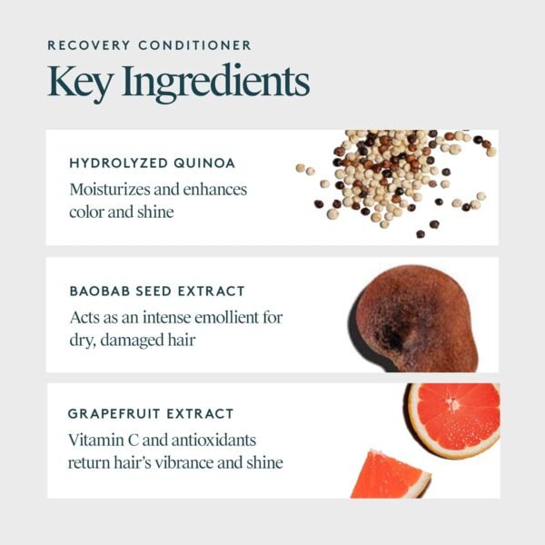 Virtue Recovery Conditioner with Keratin Hydrates, Softens, and Renews Damaged Hair, Sulfate Free, Color Safe - Image 4