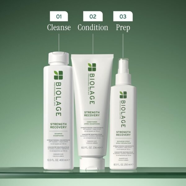 Biolage Strength Recovery Shampoo - Reduces Breakage & Detangles, For Damaged Hair, With Olive Squalane & Vegan Proteins, Paraben & Mineral Oil-Free - Image 7