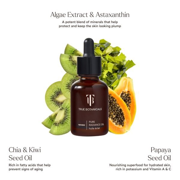 True Botanicals Renew Pure Radiance Oil | All Skin Types | Anti-Aging Face Oil w/Algae Extract | Treats Fine Lines & Wrinkles | Dermatologist Tested, All Natural, Vegan | 1 fl oz | 30 ml - Image 4