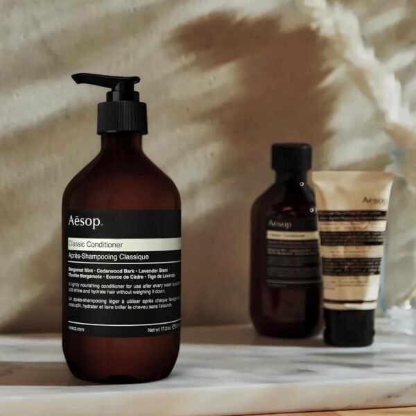 Aesop Conditioner | Hydrate and Soften Hair | Enriched With Amino Acids | Fragrant and Refreshed Hair | 3.4oz / 100mL - Image 6