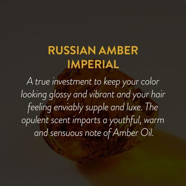 PHILIP B Russian Amber Imperial Shampoo, 12 fl. oz. (355 ml) - Color-Protective Cleanser Restores Frizzy Over-Processed Hair for Weightless Hydration - Image 5