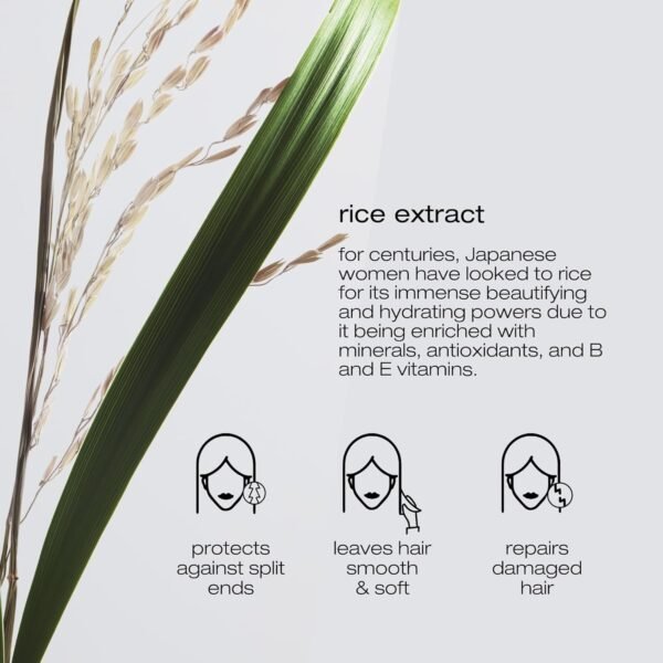 shu uemura art of hair Ultimate Reset Extreme Repair Conditioner - Strengthens to Reduce Breakage and Split Ends, Deeply Conditions and Nourishes, With Japanese Rice Extract - Image 4