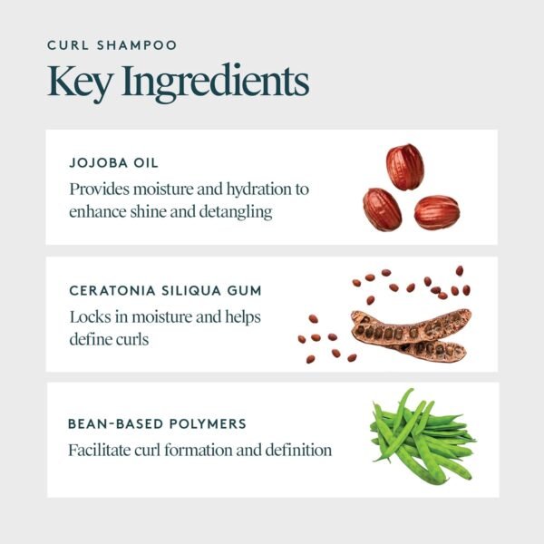 VIRTUE Curl Sulfate Free Shampoo with Jojoba Oil, Hydrates, Nourishes & Repairs Curly Hair with Frizz Control, Color Safe - Image 4