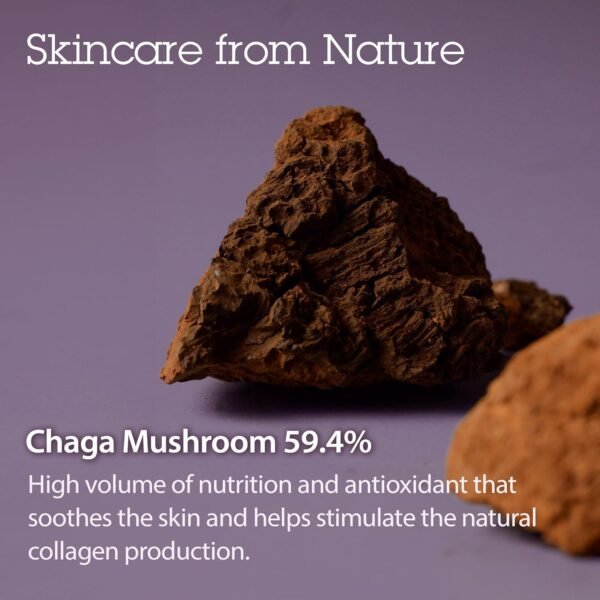 BLITHE Pressed Serum Chaga Mushroom - Advanced Skin Tightening Cream for Face, Face Tightening and Lifting Formula for a Natural Face Lift 0.91 fl oz - Image 6