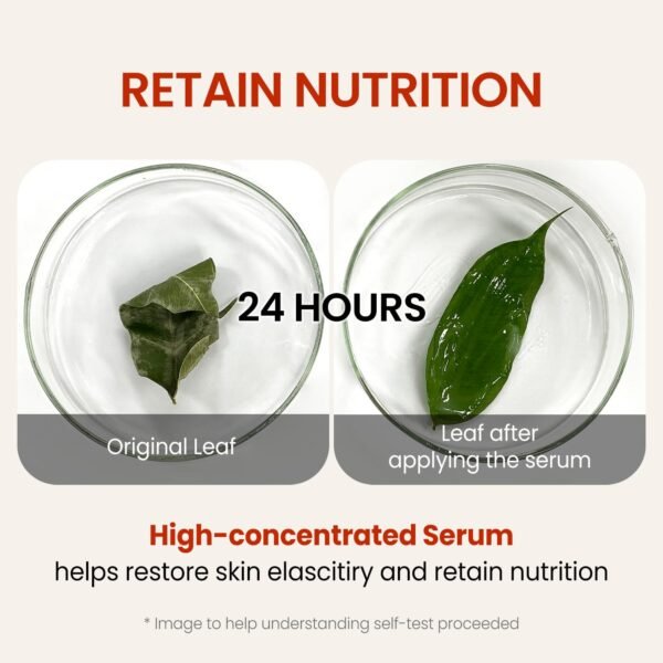 The Skin House Wrinkle Supreme Serum 1.69 fl. oz. Wrinkle serum for fine lines and dull skin l Anti Wrinkle Face Serum | Firming,Lifting,Korean Skin Care, K-beauty, 50ml - Image 7