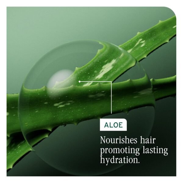 Biolage Hydra Source Shampoo - Softens & Adds Shine, For Dry Hair, Infused with Micro-Filtered Aloe Vera & Fermented Hyaluronic Acid, Vegan & Paraben-Free, Packaging May Vary - Image 8