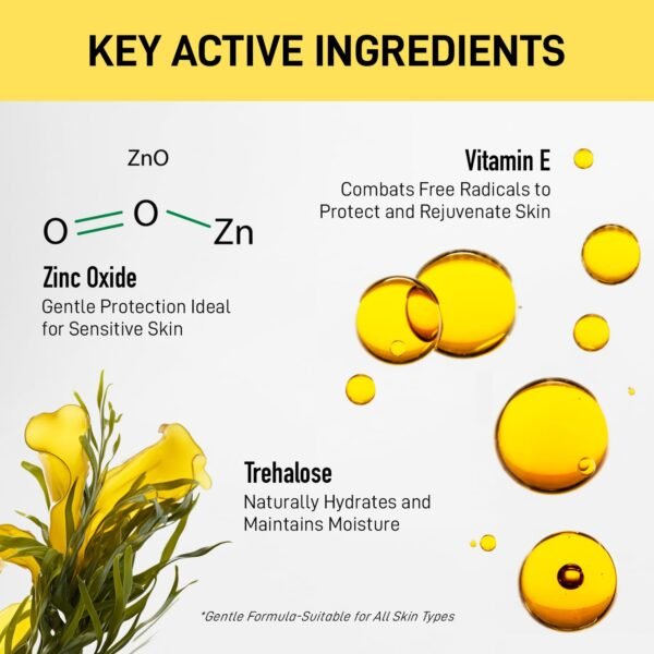 Tinted Moisturizer with SPF 50：Enaskin Naturals Face Tinted Sunscreen with Light Sheer Coverage, UVA/UVB Protection with Broad Spectrum PA+++ - 1.7 oz - Image 6