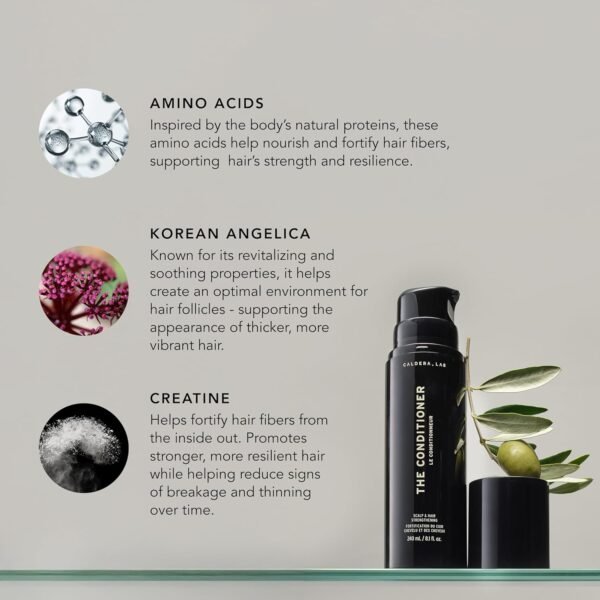 Caldera + Lab The Conditioner | Men’s Moisturizing Hair Conditioner, Hydrating & Nourishing for Soft, Shiny Hair, Dermatologically Tested - All Hair Types - Image 4