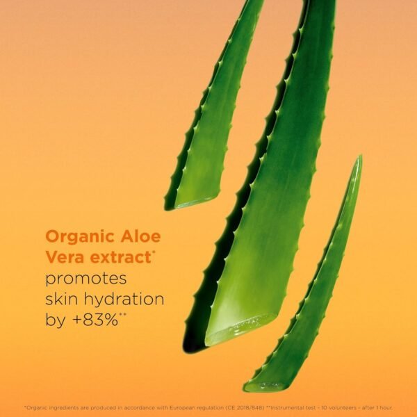 Clarins Dry Touch Face Sunscreen | Broad Spectrum SPF 50+ | UVA/UVB Protection | Lightweight and No White Cast | Enriched with Antioxidants | All Skin Types, including Sensitive Skin | 1.7 Ounces - Image 4