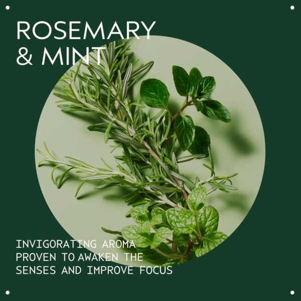 Aveda Rosemary Mint Purifying Shampoo | Clarifying Shampoo | Adds Shine | for Normal to Oily Hair, Fine to Medium Hair Types | 97% Naturally Derived - Image 4