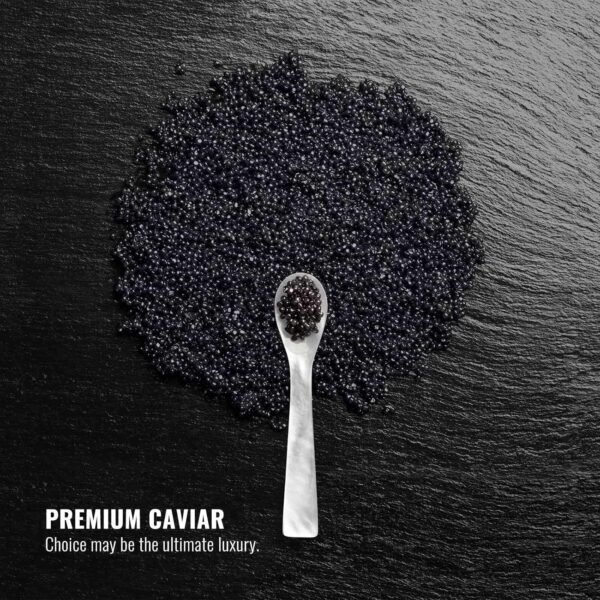 Caviar Anti-Aging Replenishing Moisture Shampoo - Hydrating Dry, Damaged Hair Restores Moisture, Adds Shine Protects from Color Fade & Future damage 16.9 oz - Image 6