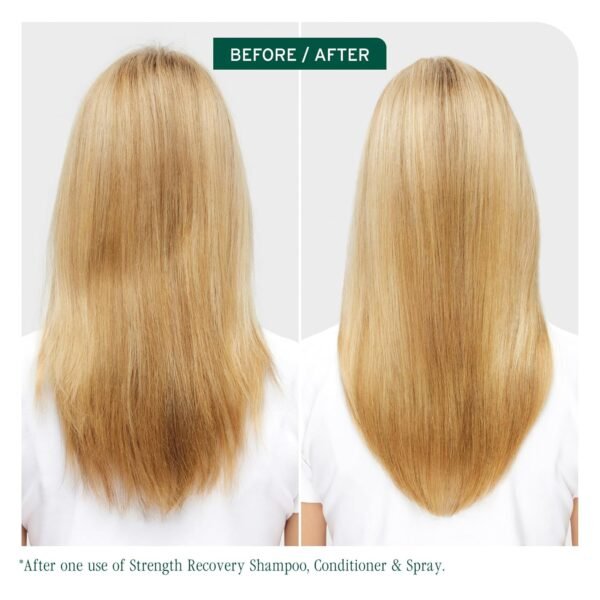 Biolage Strength Recovery Shampoo - Reduces Breakage & Detangles, For Damaged Hair, With Olive Squalane & Vegan Proteins, Paraben & Mineral Oil-Free - Image 3