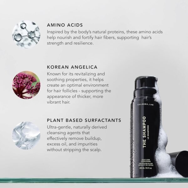 Caldera + Lab The Shampoo | Men’s Shampoo for Healthy Hair, Sulfate-Free Daily Cleanser, Dermatologically Tested - All Hair Types - Image 4