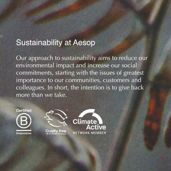 Aesop Shampoo & Conditioner Set | Hydrates, Softens, & Adds Shine | All Hair Types | 16.9 oz / 500mL - Image 10
