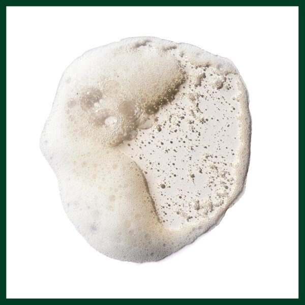 Aveda Pure Abundance Volumizing Shampoo | Adds Volume to Fine Hair | with Kaolin Clay - Image 8